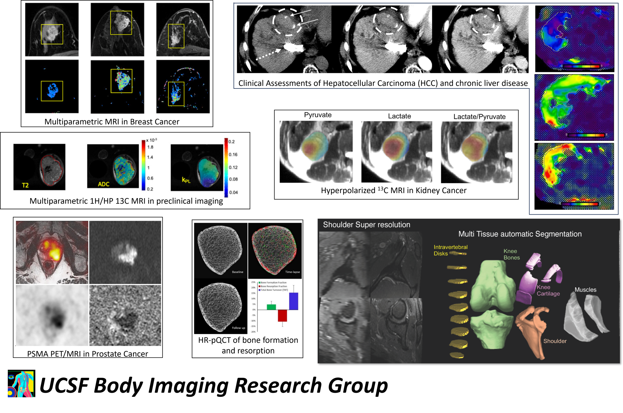 Example Body Imaging Research